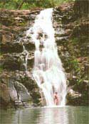 Waterfall1.JPG (11119 bytes)